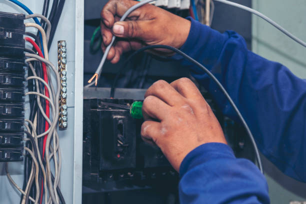 Best Ceiling Fan Installation Electrician  in Oakdale, MN
